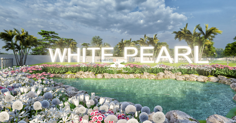 Global White Pearl-cover-06
